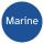 Marine